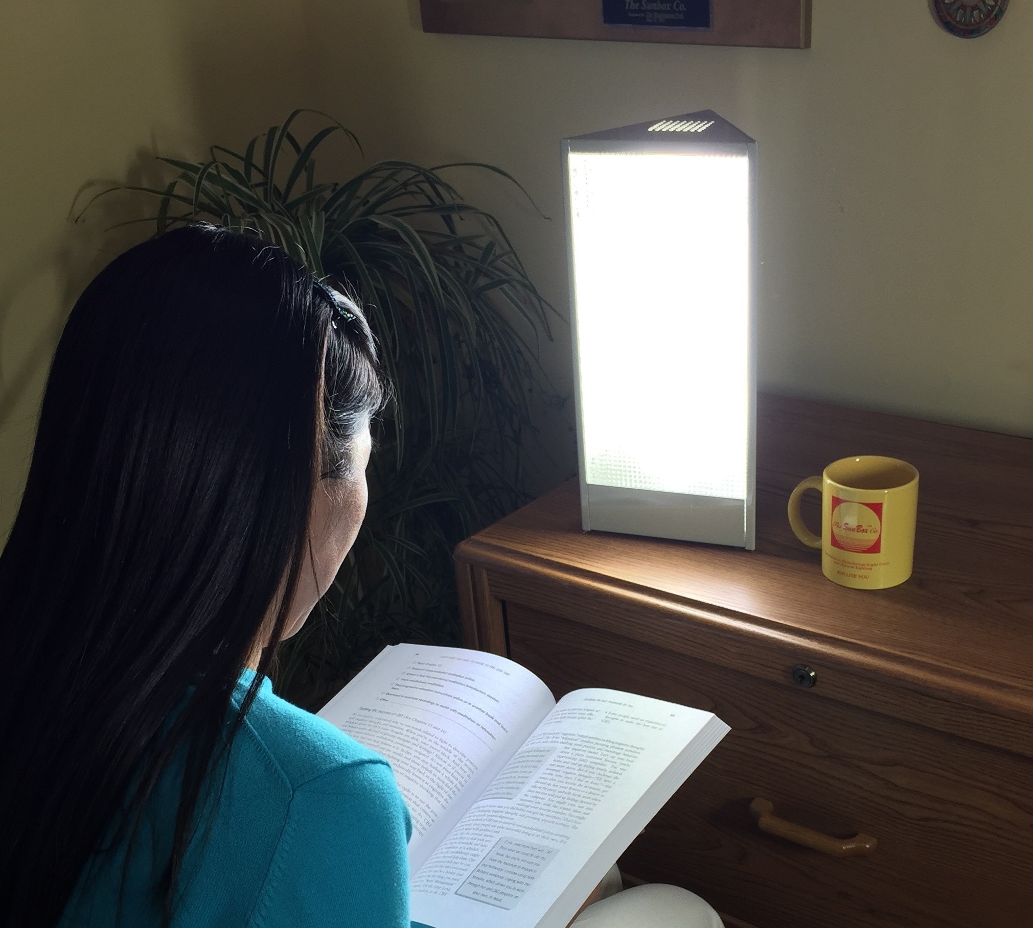 sikkerhedsstillelse fly sprogfærdighed SunLight Jr- Bright Light Therapy Lamp - The SunBox Company